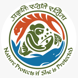 Nature Protects if She is Protected