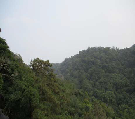Ka Khloo Blai Sein Raij Tuber Sacred Grove