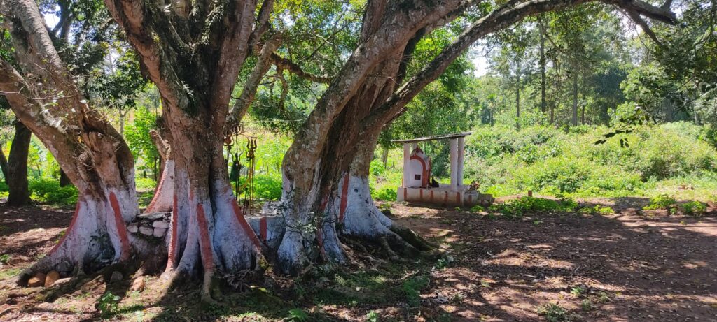 Sirumalai Pudur Vellimalaiyan