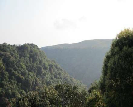 Umiong Sacred Grove