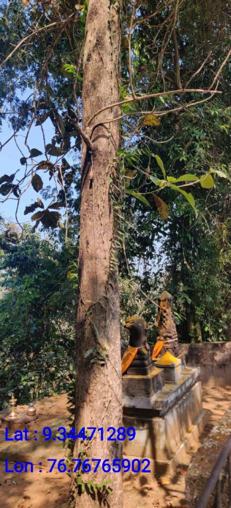 Aaadupara Kavu