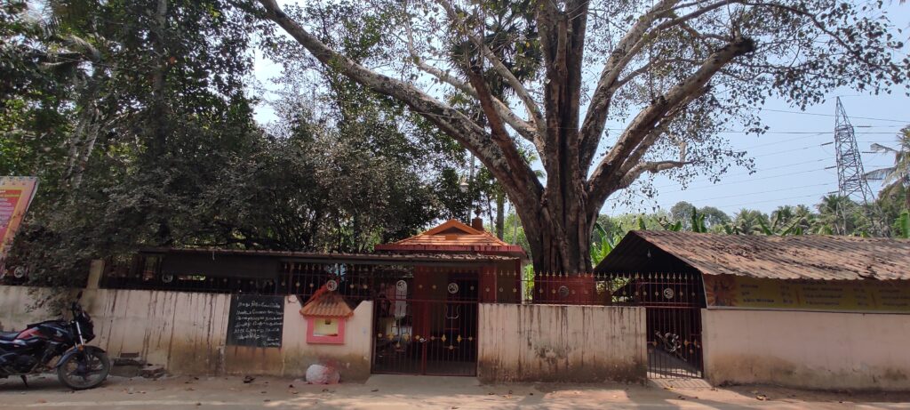 Athencode Isakkiyamman, Nagaraja (Nagarkovil)