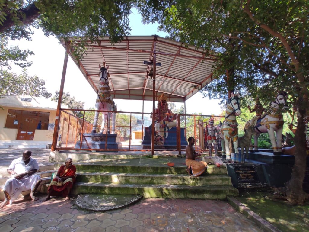 Ayirangal Pattappan Sacred Grove