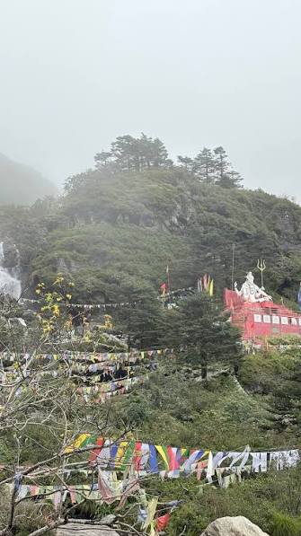 Biring Kaali Ma sacred grove