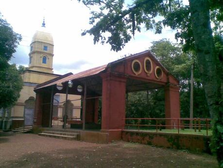 Chilkigarh Sacred Grove