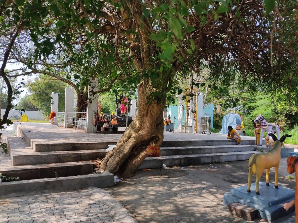 Pudupattu Kaaliyamman Sacred Grove