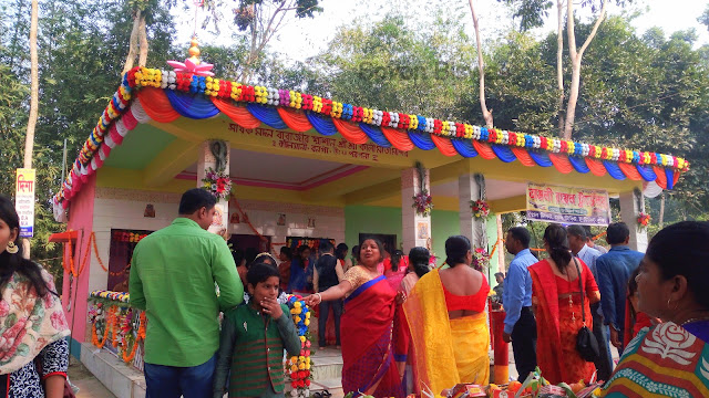 Satbhai Kali Tola Sacred Grove
