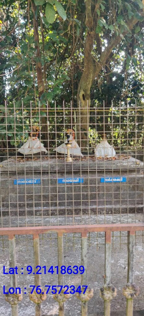 Sree Narayana Temple Kavu, Vallicode