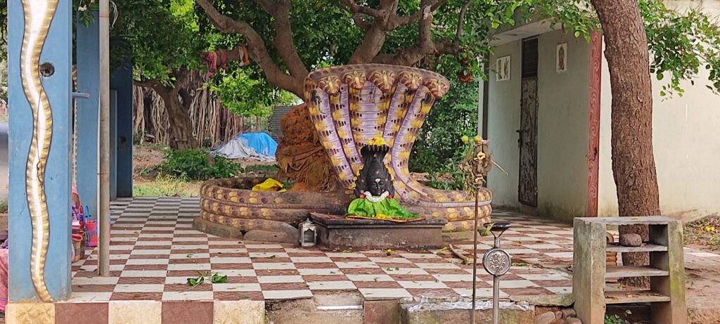 Thirukazhukundram Puththu Amman