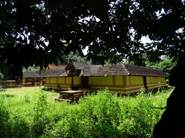 Chama Kavu