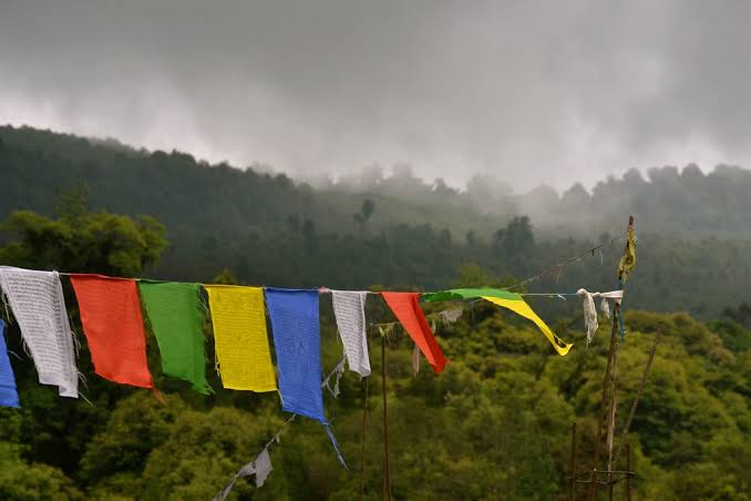 Chuba Sacred grove