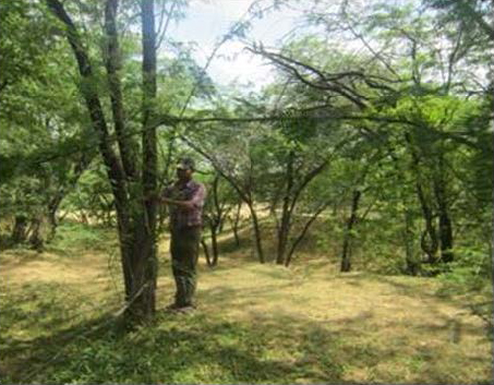 Devnarayan Ji Ka Oran