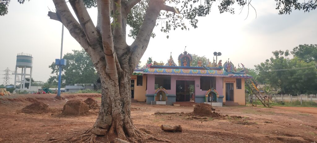Tirumalai Samudram Bala Murugan and Agni Kaliamman Temples   