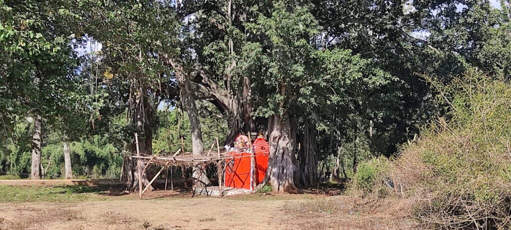 Vazhaithottam Matheswaran 