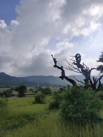 Ahupe Sacred Grove