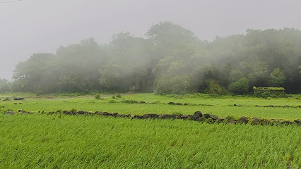 Bhairavnath Ban (Devrai -Sacred Grove)