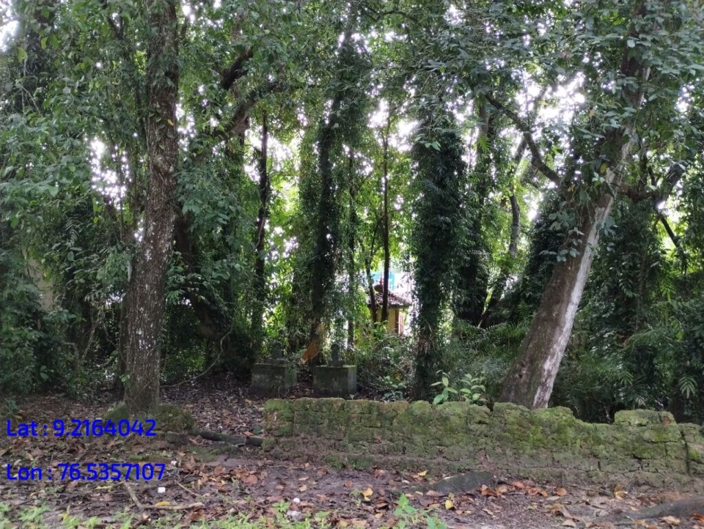 Aanayadikavu