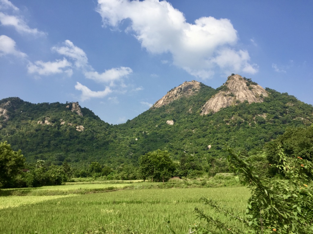 Bandghutu sacred grove