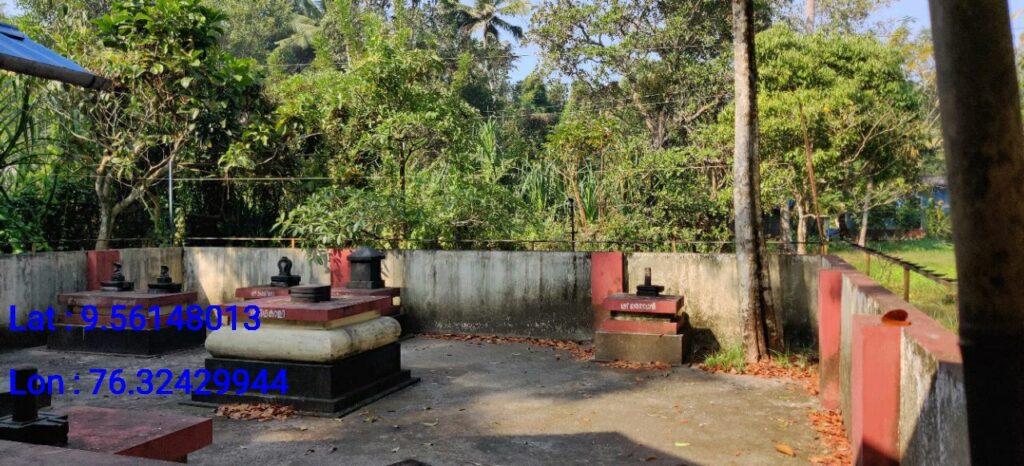 Bhagavathy Parambu Sarppa Kavu