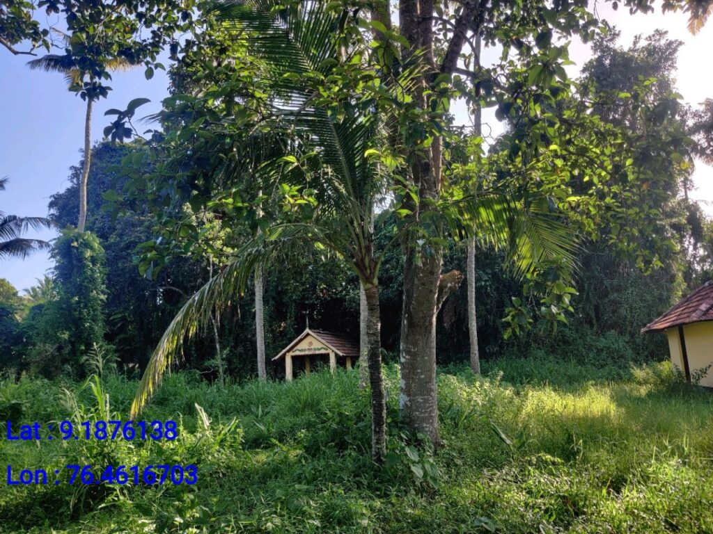 Puthussery Kavu