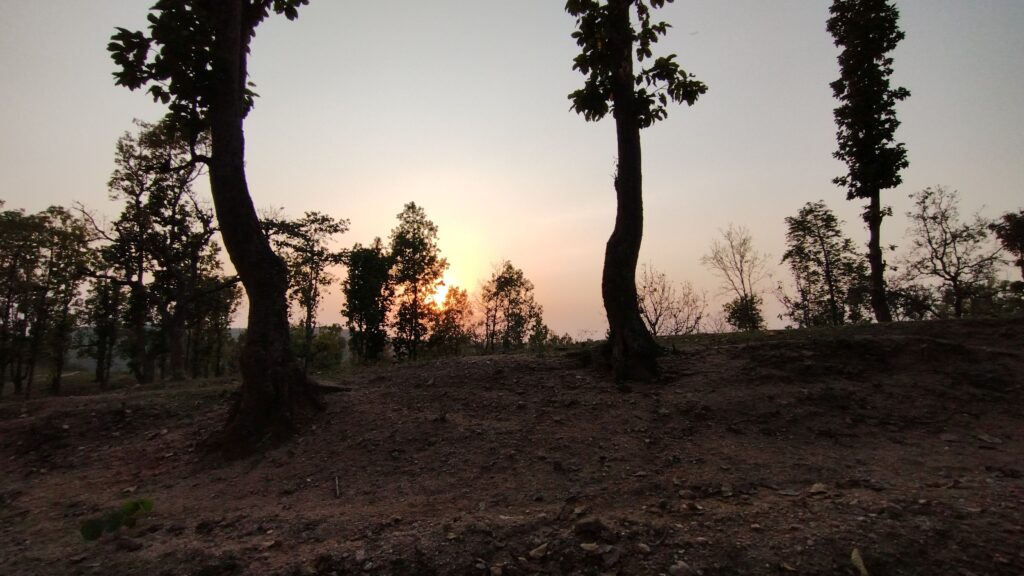 Saramchaki sacred grove