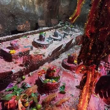 Shri Nagdwar Swami Temple Padmshesh
