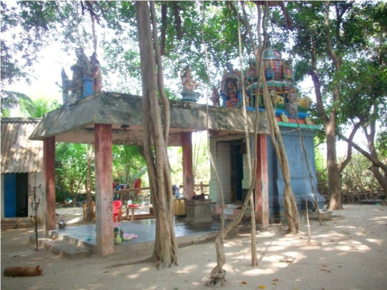 Sivaranthagam Ponni Amman Sacred Grove