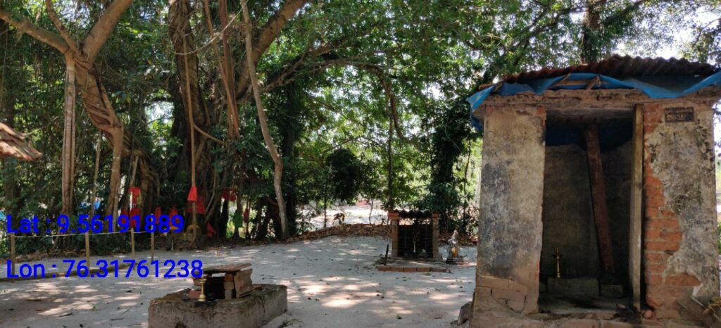 Thottattu Devi Temple Kavu